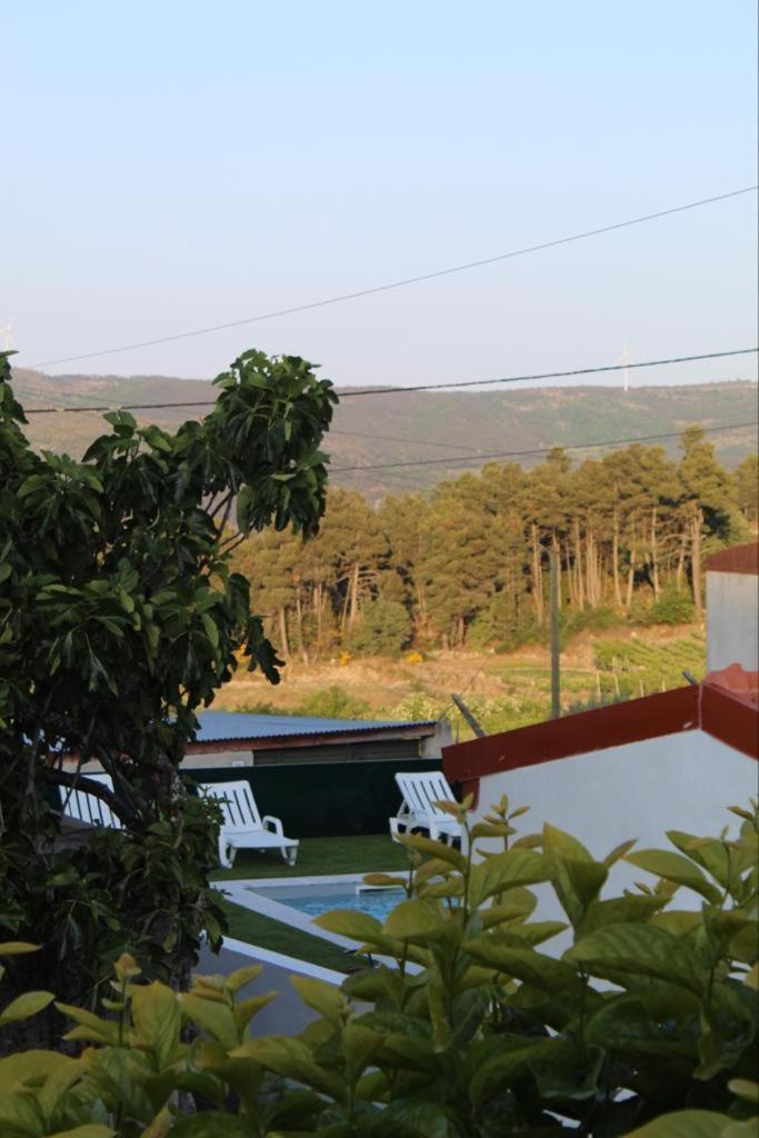 Casa Do Souto - Alojamento Local No Douro Aricera Dış mekan fotoğraf